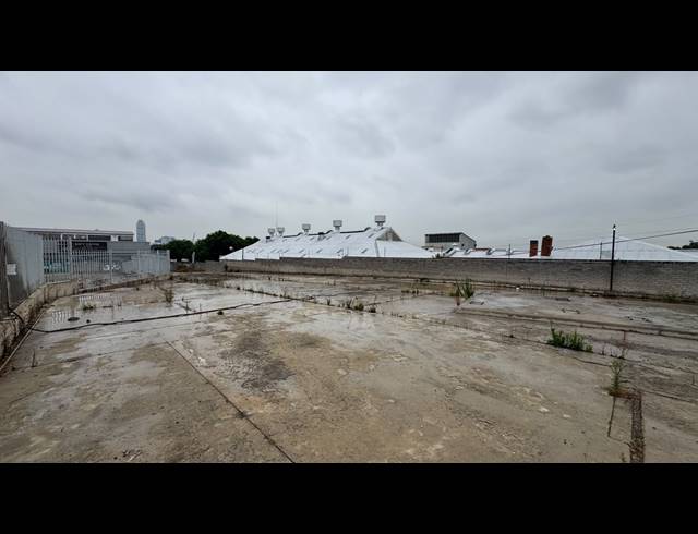 1,000M² WAREHOUSE TO LET IN WYNBERG